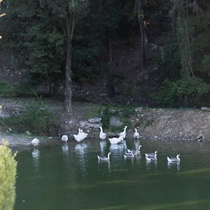 Tenuta La Bandita